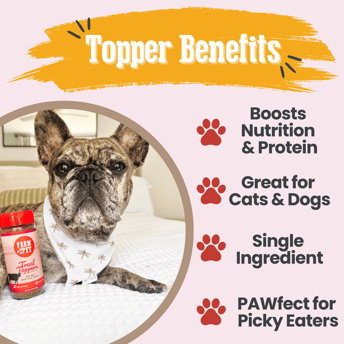 Suplemento alimenticio para perros Treat Topper de carne de res | Suplemento en polvo para mascotas