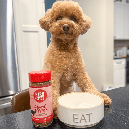 Suplemento alimenticio para perros Treat Topper de carne de res | Suplemento en polvo para mascotas