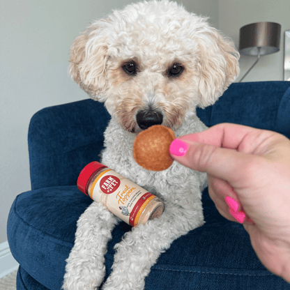 Chicken Treat Topper