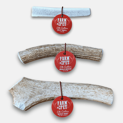 Front product view of Farm To Pet elk antler dog chew