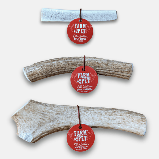 Front product view of Farm To Pet elk antler dog chew