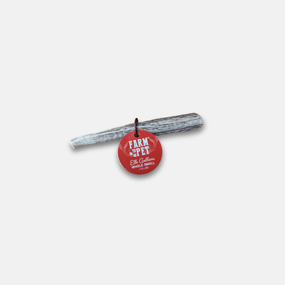 Front product view of Farm To Pet whole small elk antler dog chew