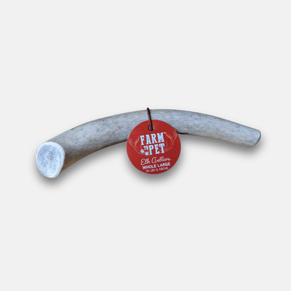 Front product view of Farm To Pet whole large elk antler dog chew