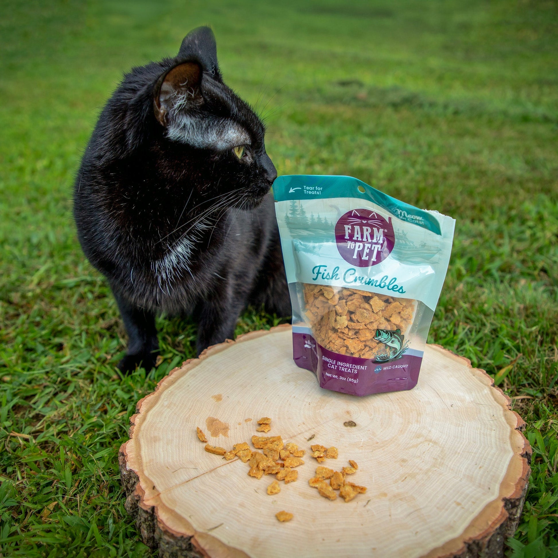 Black cat next to a package of Farm to Pet Fish Crumbles on a grassy background