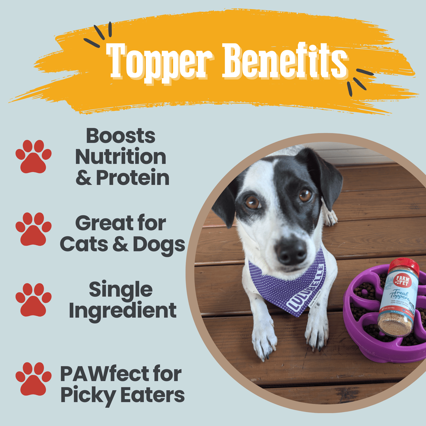 Farm To Pet Fish Treat Topper benefits