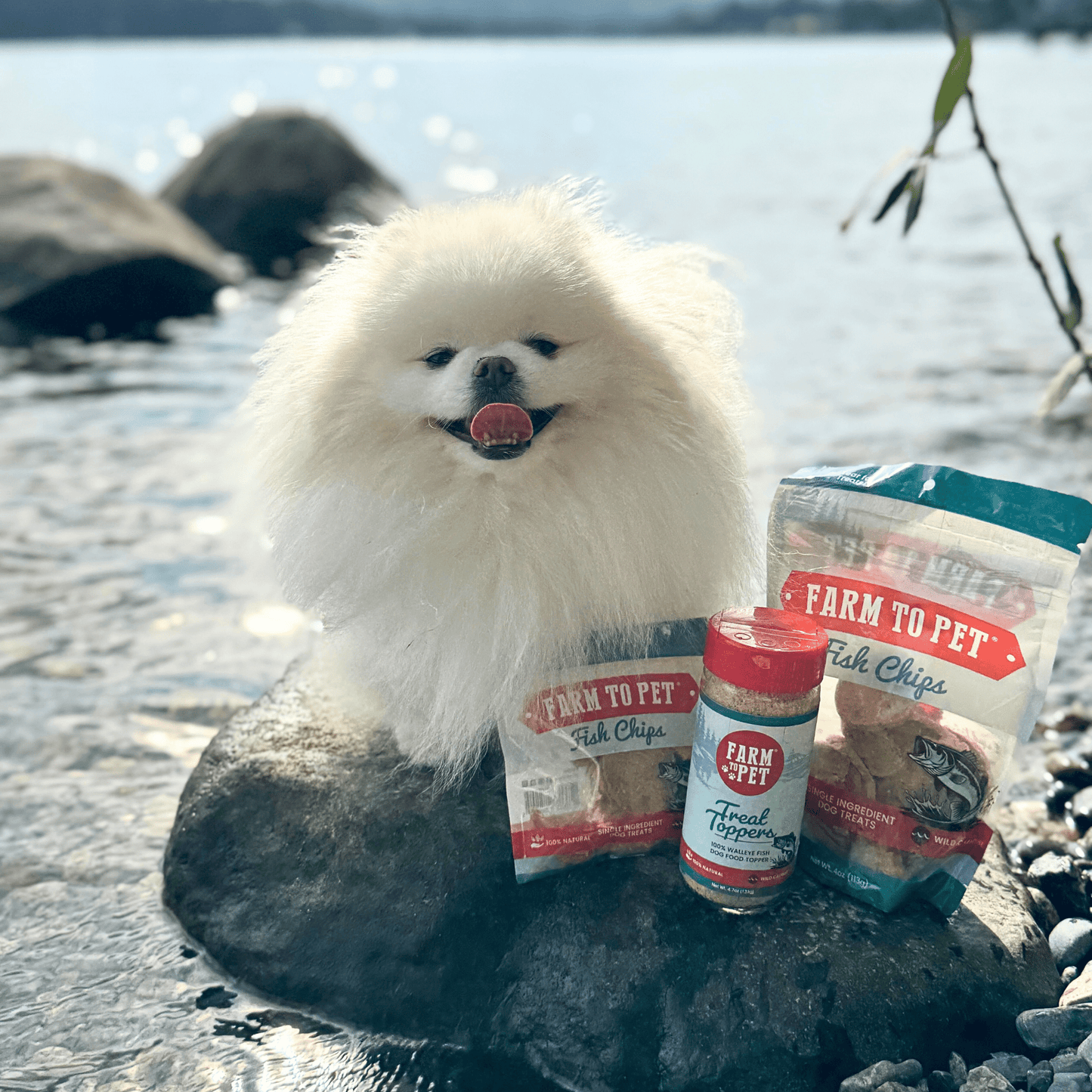 White dog with Farm To Pet Fish Treat Topper