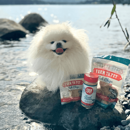 White dog with Farm To Pet Fish Treat Topper