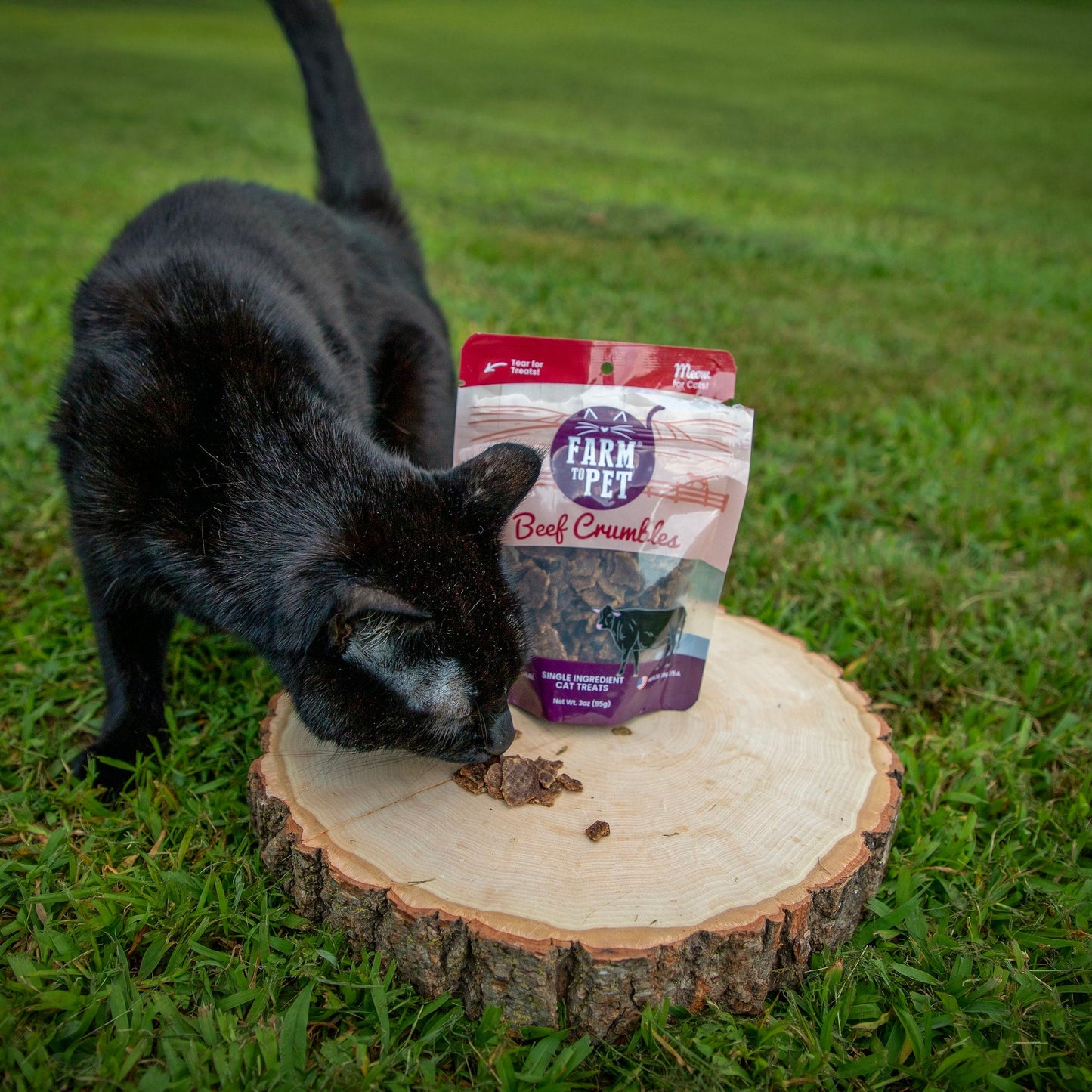 Black cat eating from a bag of Farm to Pet Beef Crumbles on a grassy background