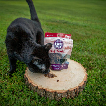 Black cat eating from a bag of Farm to Pet Beef Crumbles on a grassy background