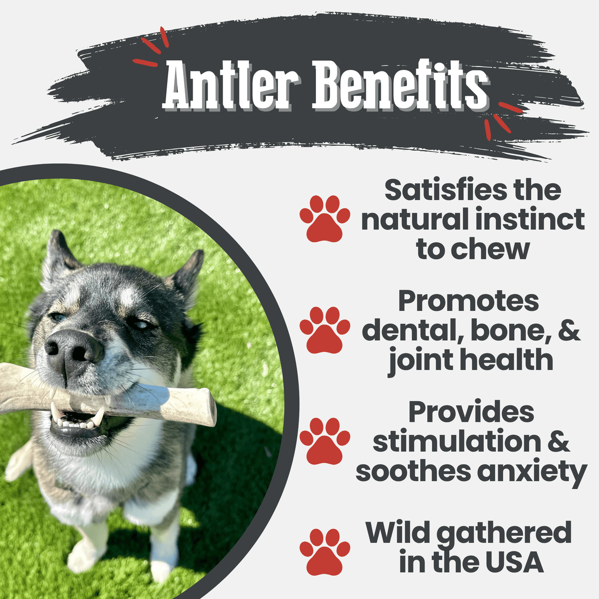 Benefits graphic for Farm To Pet split large reindeer antler dog chew