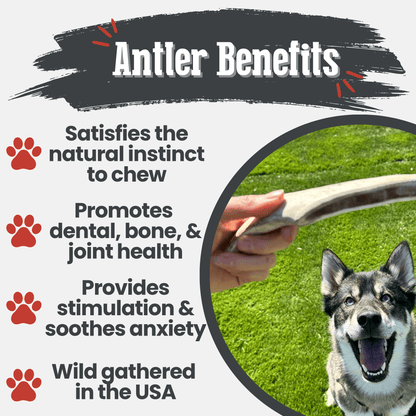 Benefits graphic for Farm To Pet split medium reindeer antler dog chew