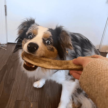 Farm To Pet split small reindeer antler dog chew product detail