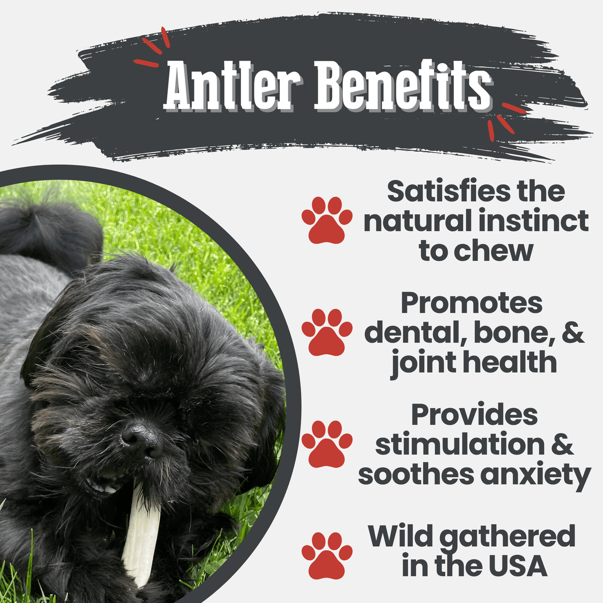 Benefits graphic for Farm To Pet split small reindeer antler dog chew