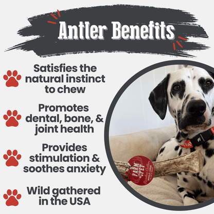 Benefits graphic for Farm To Pet whole large reindeer antler dog chew