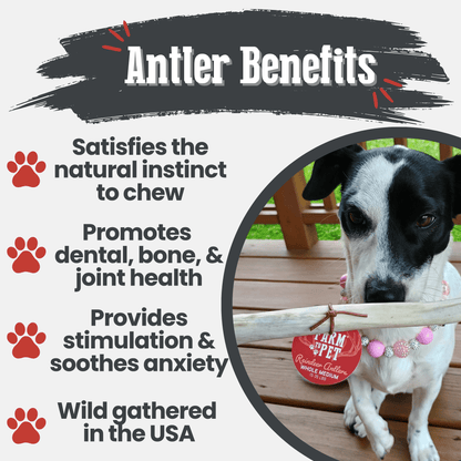 Benefits graphic for Farm To Pet whole medium reindeer antler dog chew