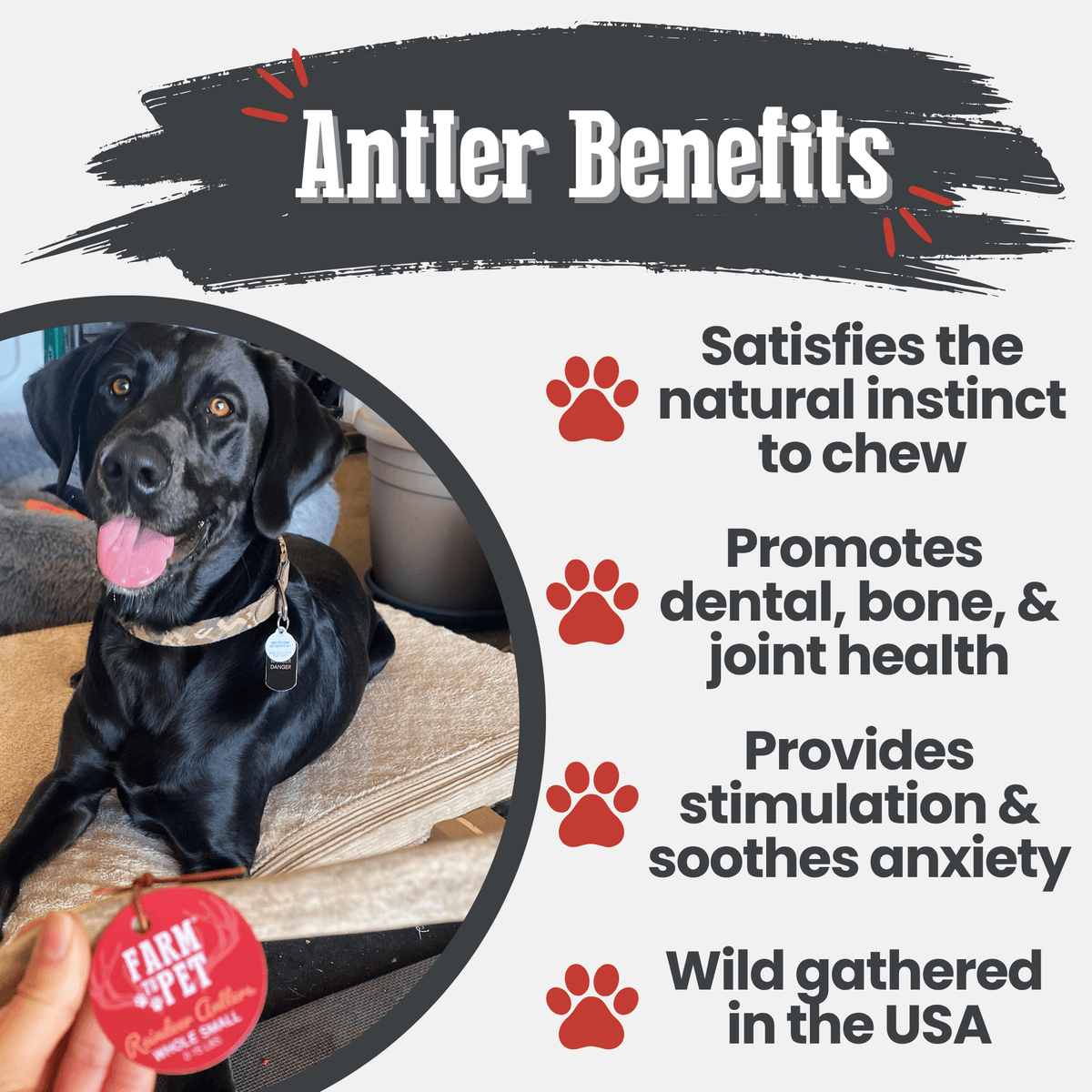 Benefits graphic for Farm To Pet whole small reindeer antler dog chew