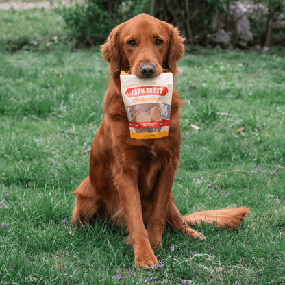 Dog holding a bag of Farm Topper chicken chow in a grassy field