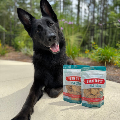 Black dog sitting next to two packages of 'Farm to Pet' fish chips outdoors.