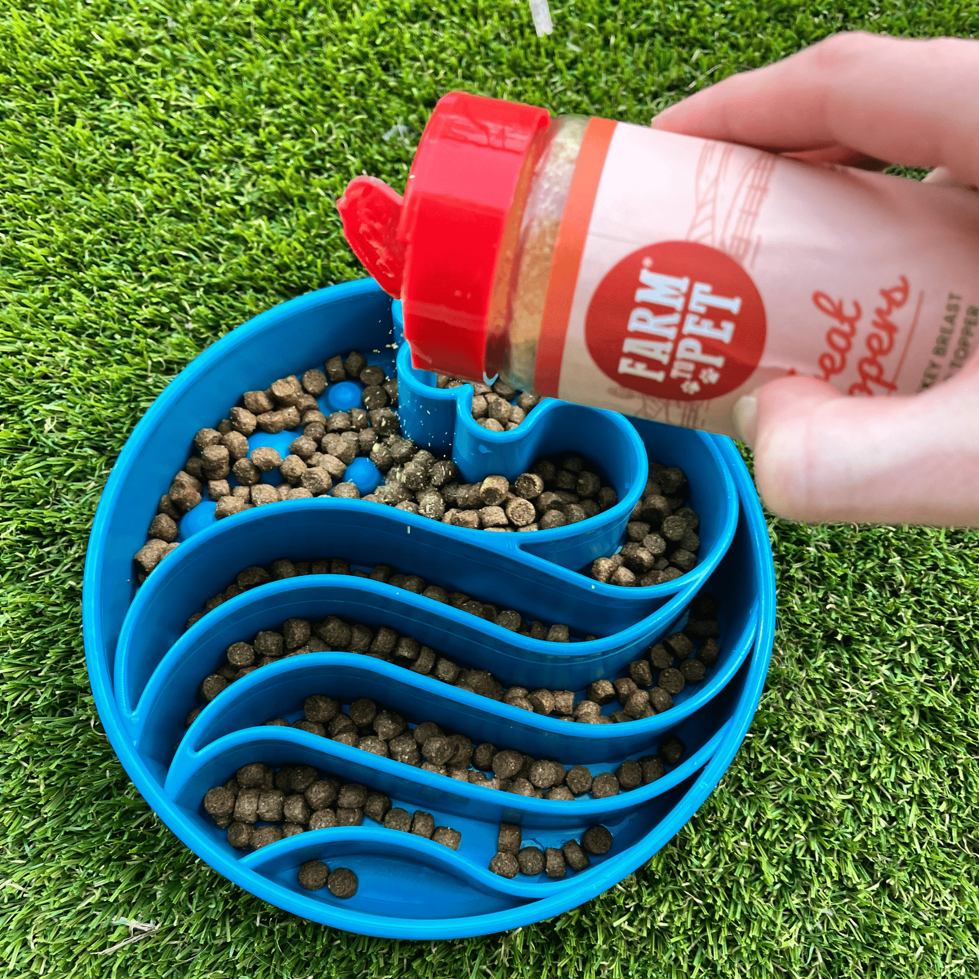 Farm To Pet Turkey Treat Topper served in a blue dog bowl