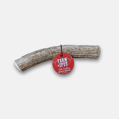 Front product view of Farm To Pet whole medium elk antler dog chew