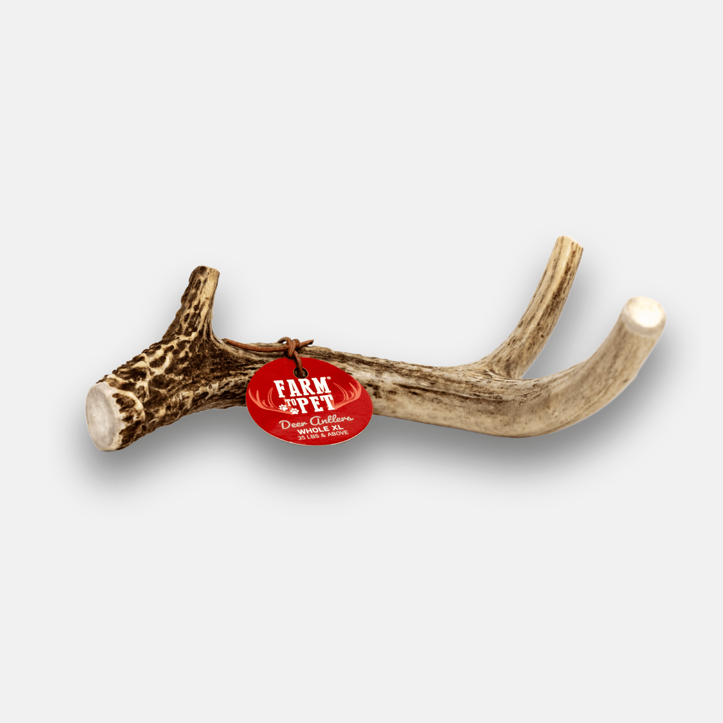 Astas enteras de venado para perros