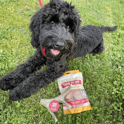 Astas enteras de venado para perros