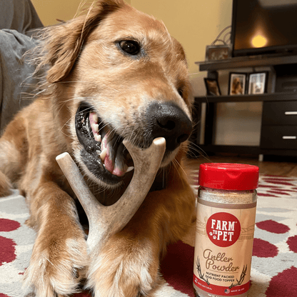 Astas enteras de venado para perros