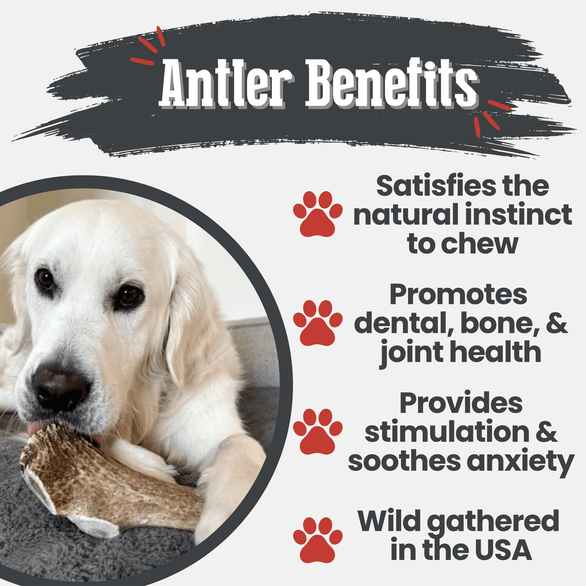 Benefits graphic for Farm To Pet split giant elk antler dog chew