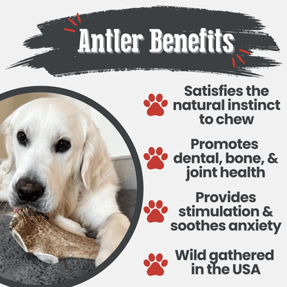 Benefits graphic for Farm To Pet split giant elk antler dog chew