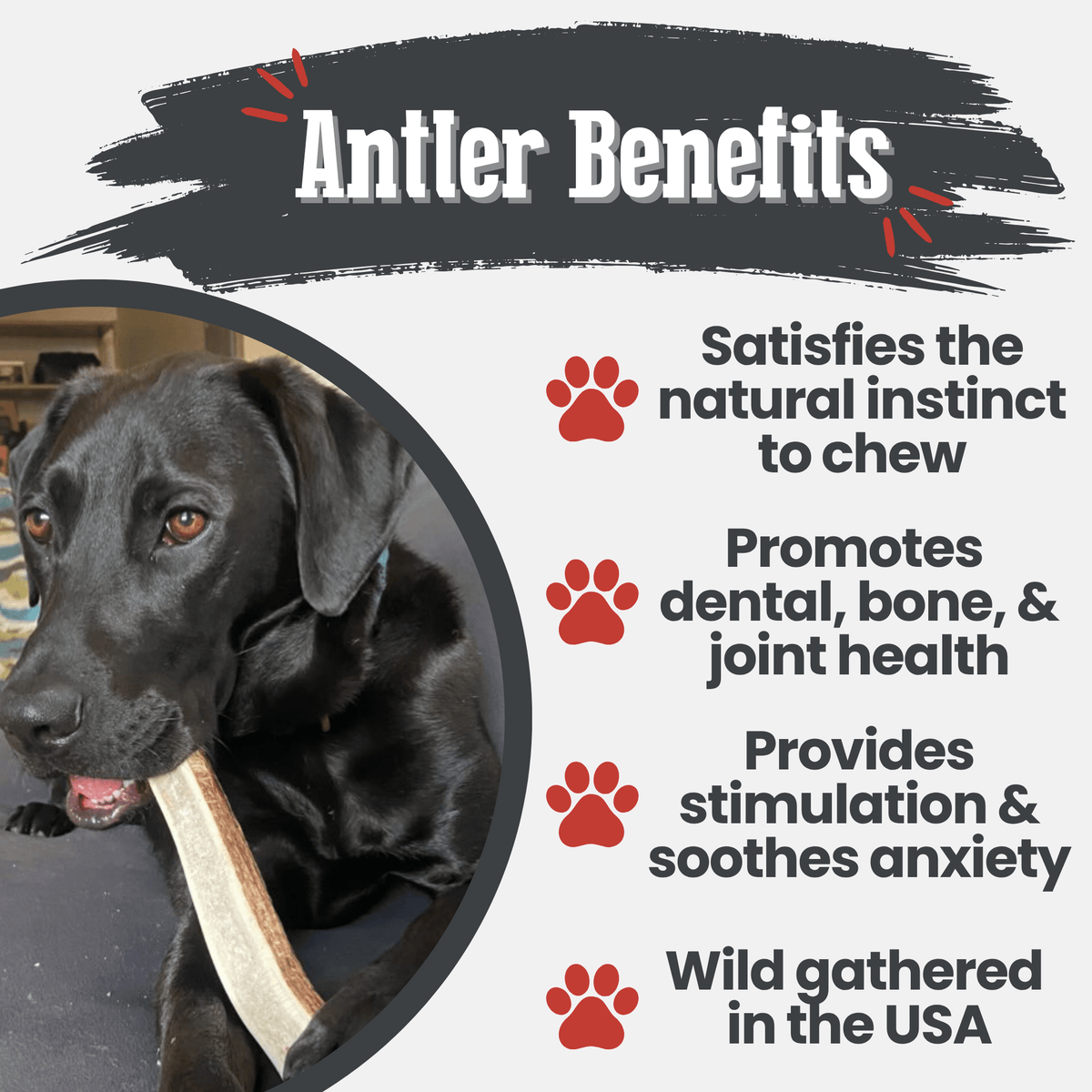 Benefits graphic for Farm To Pet split large elk antler dog chew