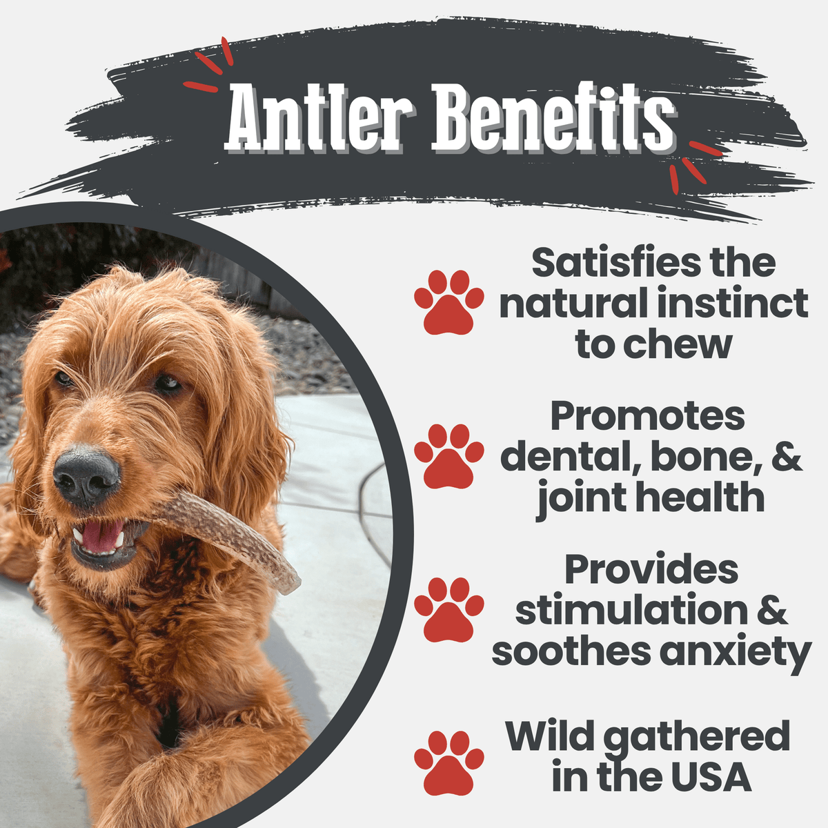 Benefits graphic for Farm To Pet split medium elk antler dog chew