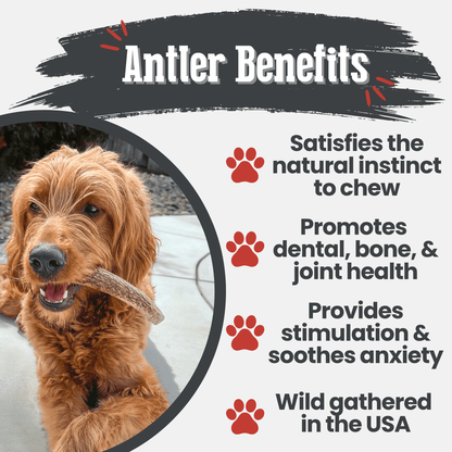 Benefits graphic for Farm To Pet split medium elk antler dog chew