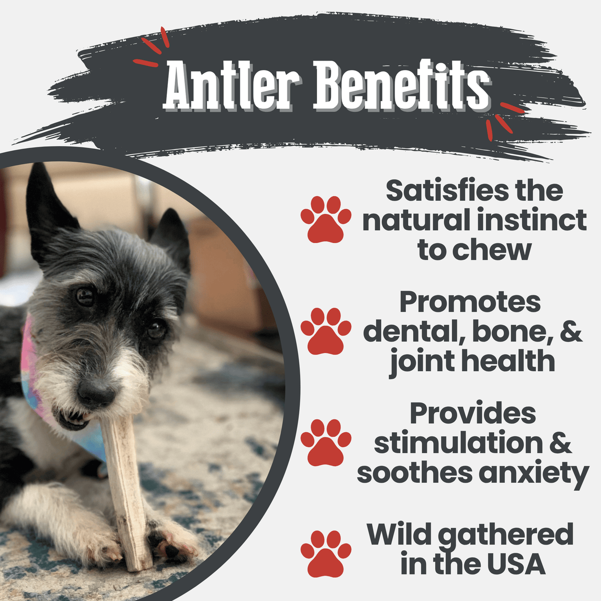 Benefits graphic for Farm To Pet split small elk antler dog chew