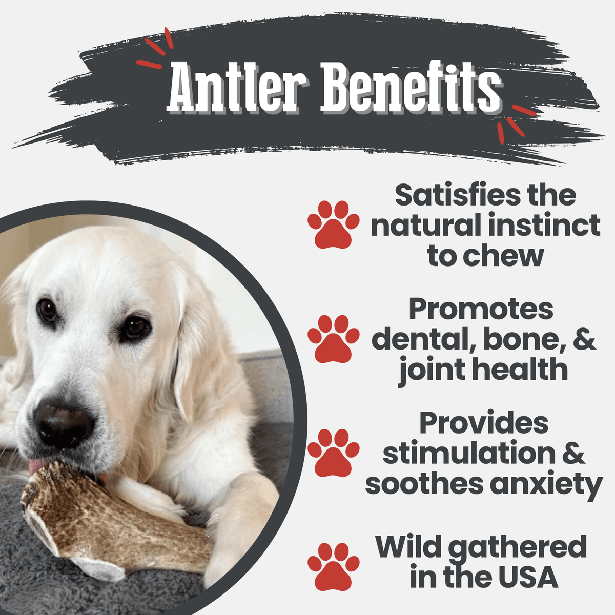 Benefits graphic for Farm To Pet whole giant elk antler dog chew