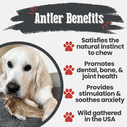 Benefits graphic for Farm To Pet whole giant elk antler dog chew