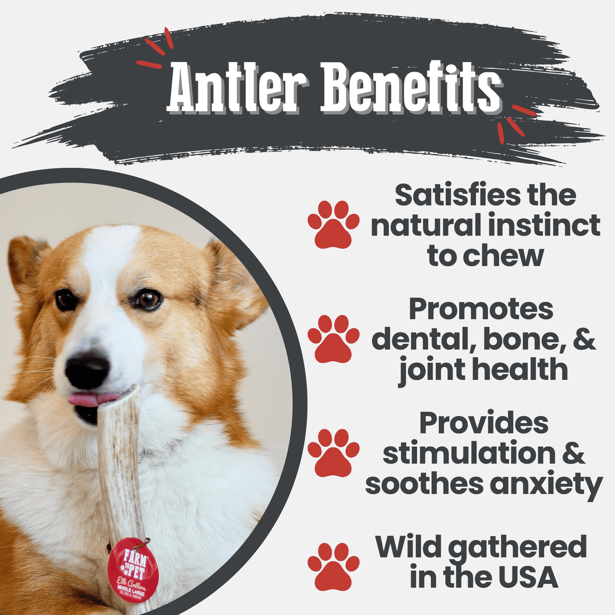 Benefits graphic for Farm To Pet whole large elk antler dog chew