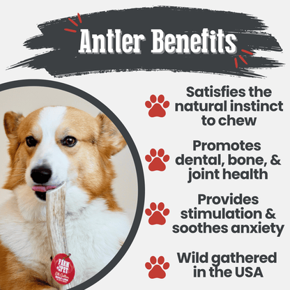 Benefits graphic for Farm To Pet whole large elk antler dog chew