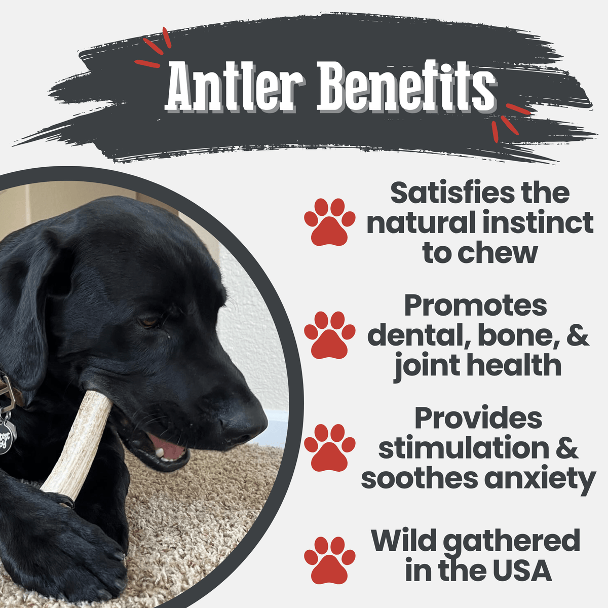 Benefits graphic for Farm To Pet whole medium elk antler dog chew