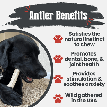 Benefits graphic for Farm To Pet whole medium elk antler dog chew