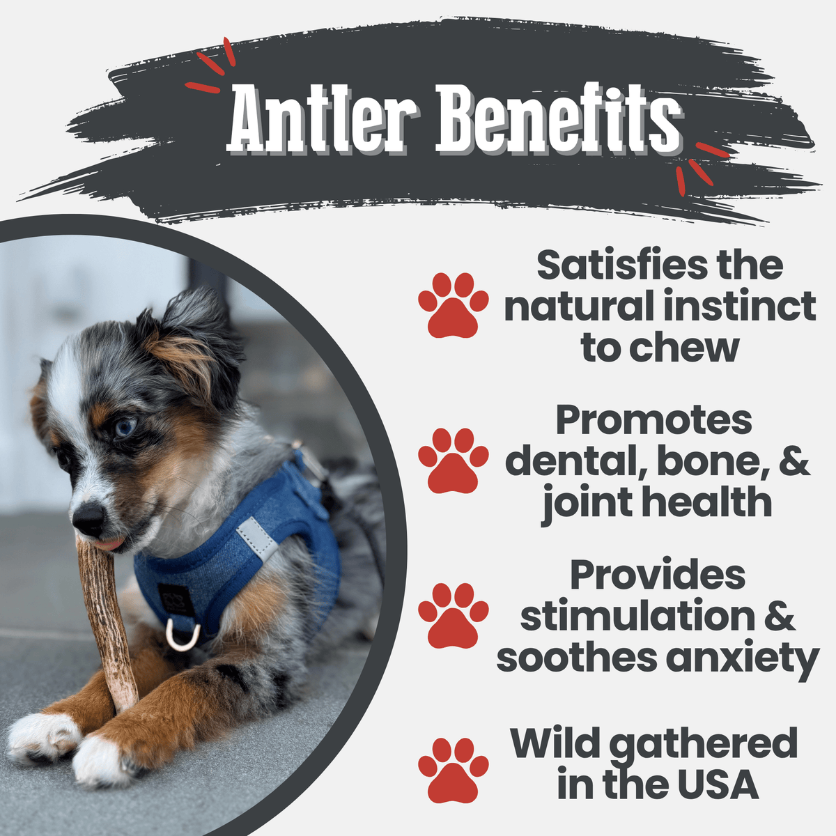 Benefits graphic for Farm To Pet whole small elk antler dog chew