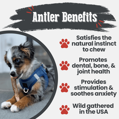 Benefits graphic for Farm To Pet whole small elk antler dog chew