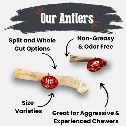 Overview of Farm To Pet whole and split reindeer antler dog chews