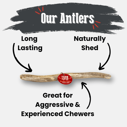 Farm To Pet whole large reindeer antler dog chew product detail