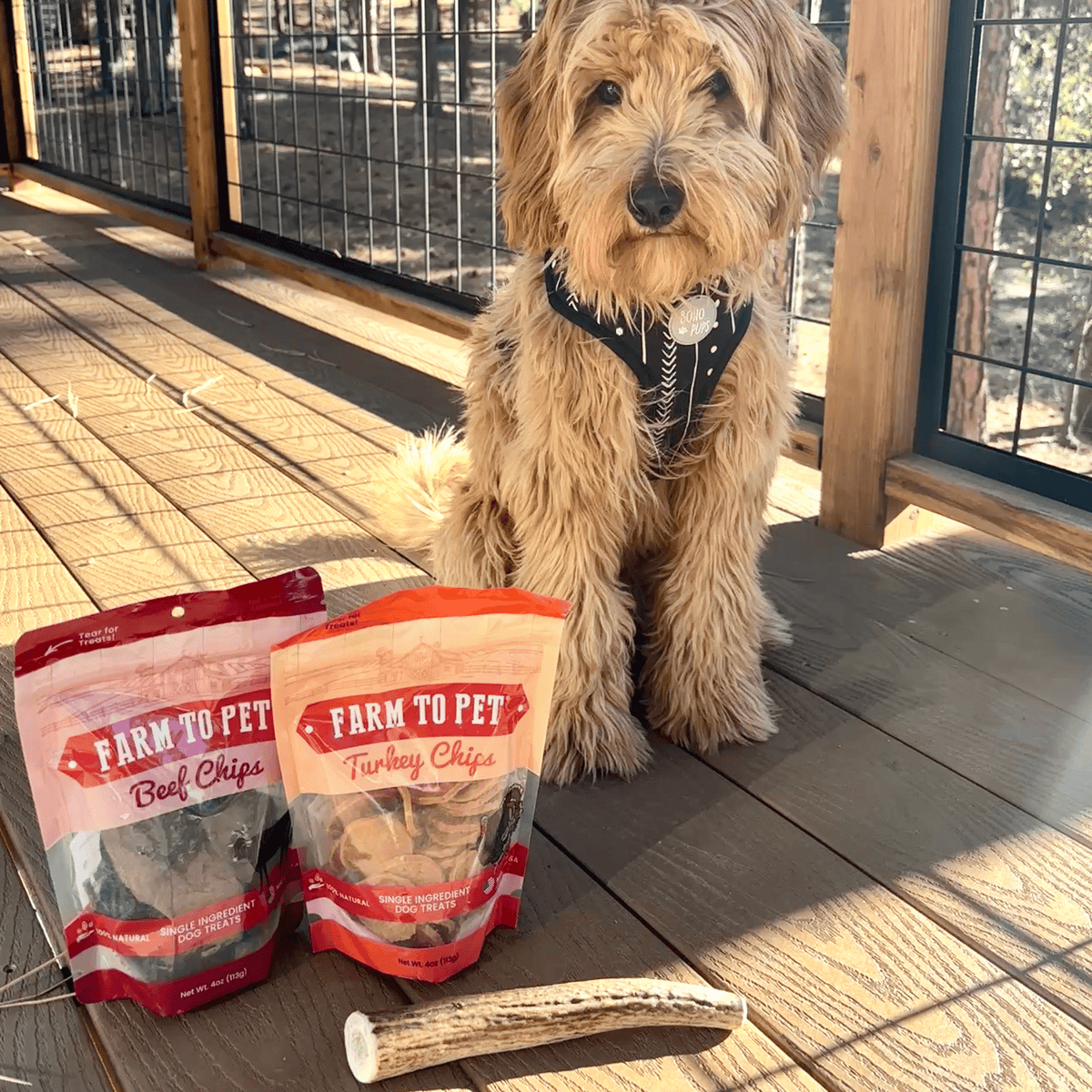 Dog with Farm To Pet whole large reindeer antler chew