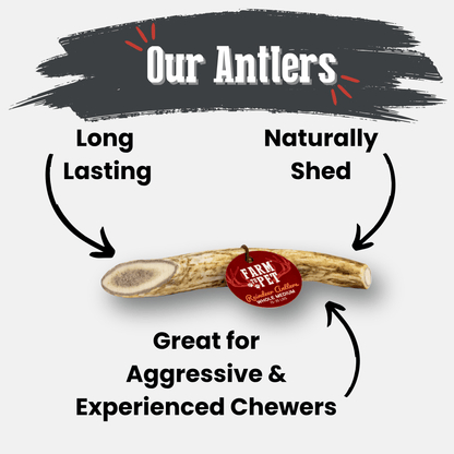 Farm To Pet whole medium reindeer antler dog chew product detail