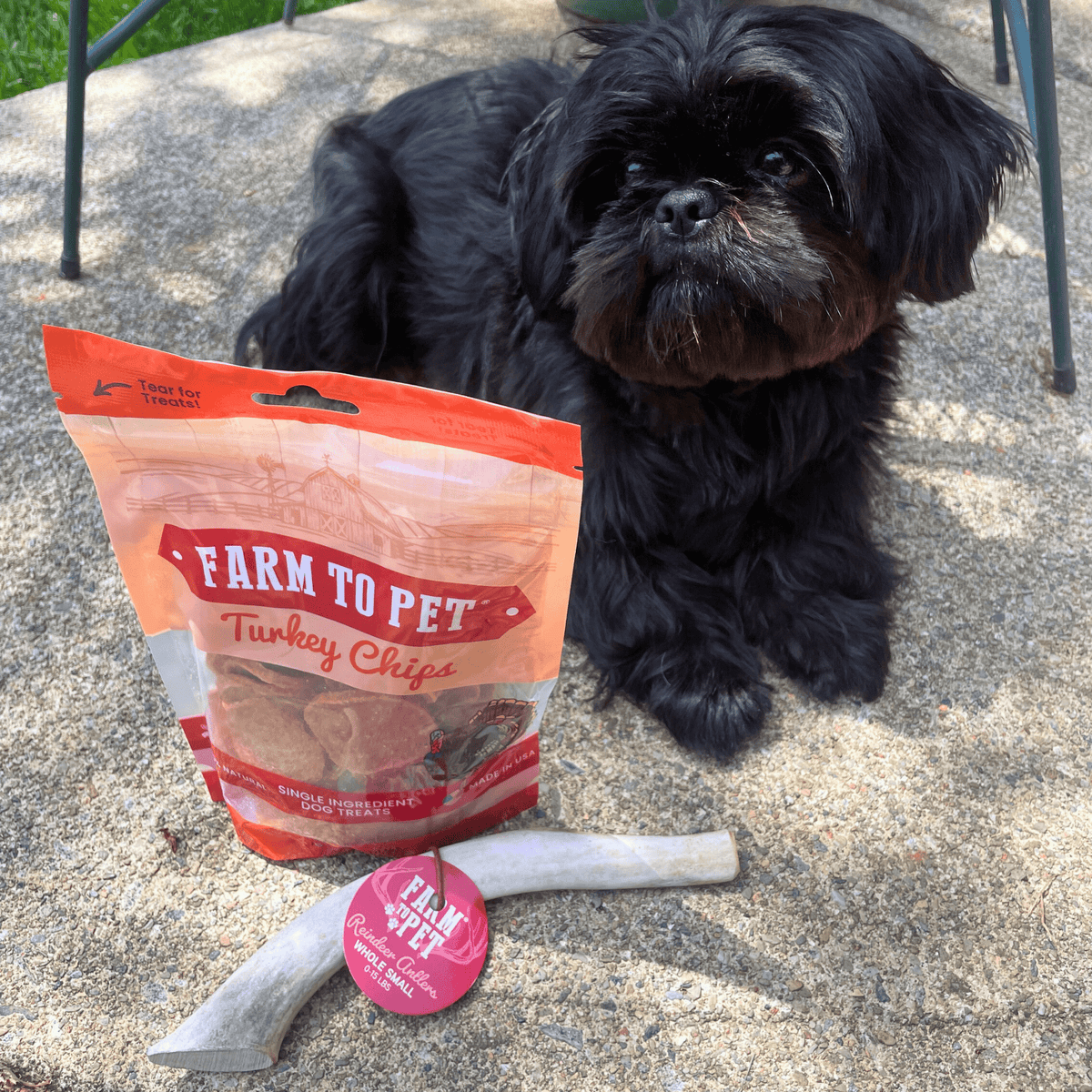 Dog with Farm To Pet whole small reindeer antler chew