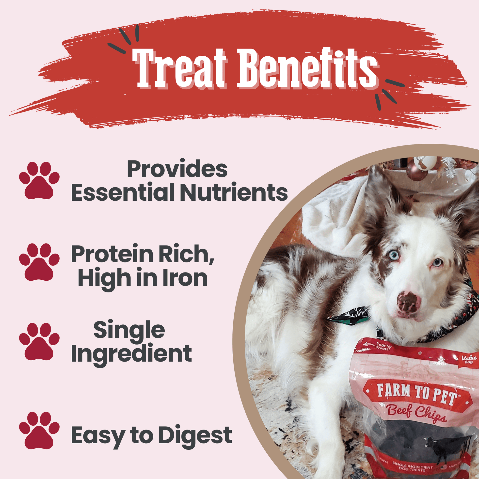 Dog with a package of 'Farm to Pet' beef chips and text about treat benefits on a white background.