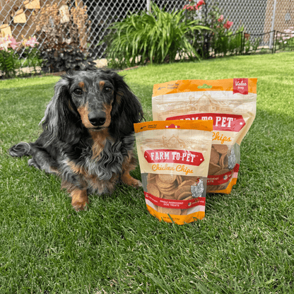 Dog sitting on grass with Farm to Pet Chicken Chips packages in front