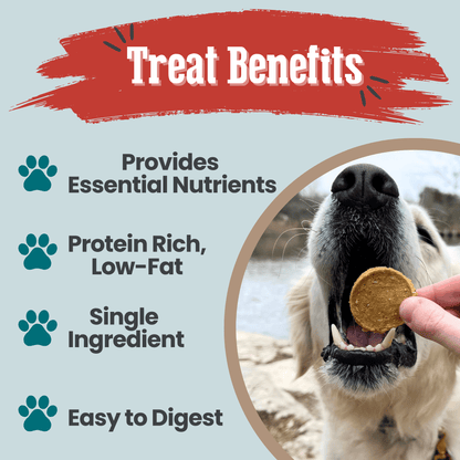 Dog eating a treat with text about treat benefits on a light blue background