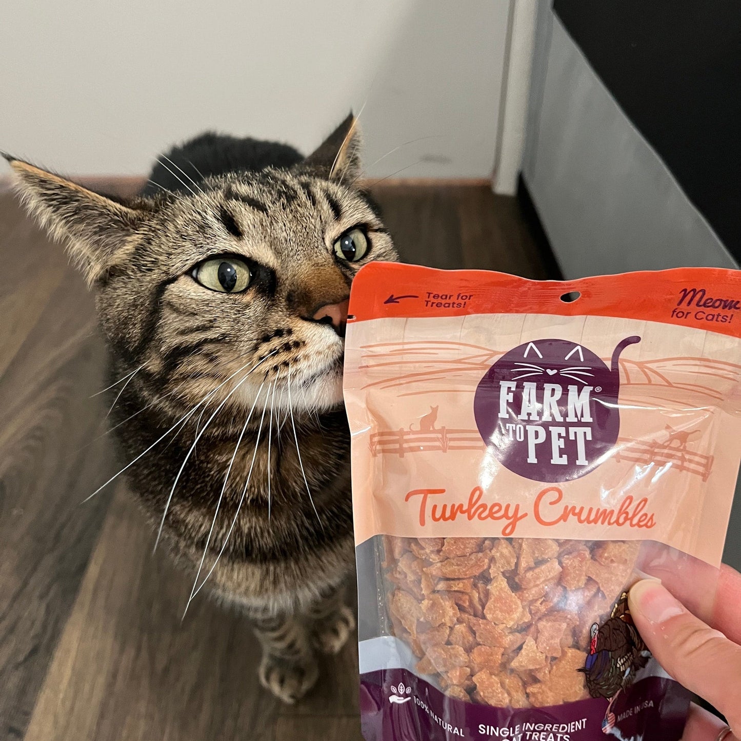 Cat looking at a 'Farm to Pet' turkey crumbles package held by a person.